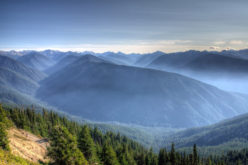 Hurricane Ridge